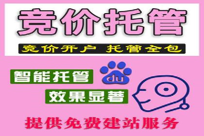 成功案例：百度推广代理助力电商突破